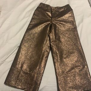 Madewell Glitter Flare Wide Leg Crops